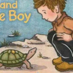 5 Picture Books about Turtles