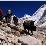 Kenneth Chadwick: Photographs of Nepal