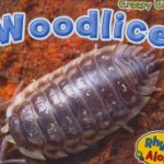Trail Tales: Woodlice